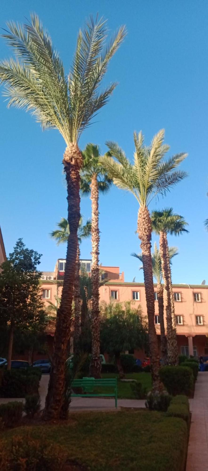 Riad Al-Bushra Марракеш Экстерьер фото